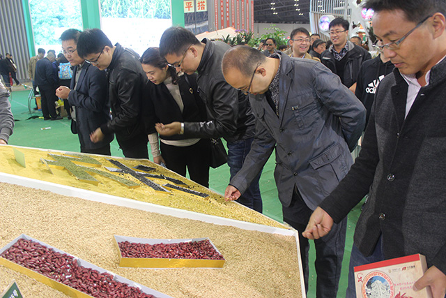 环科系师生参观学习中国第四届农博会